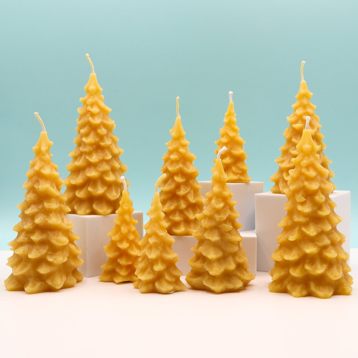 Beeswax Candle - Trees